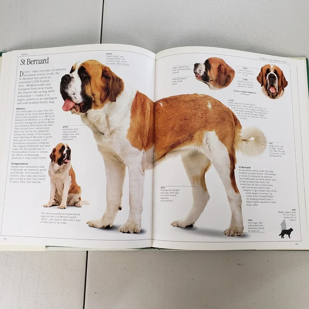 The Ultimate Dog Book David Taylor Hardcover 1990 Illustrated Breeds Guide